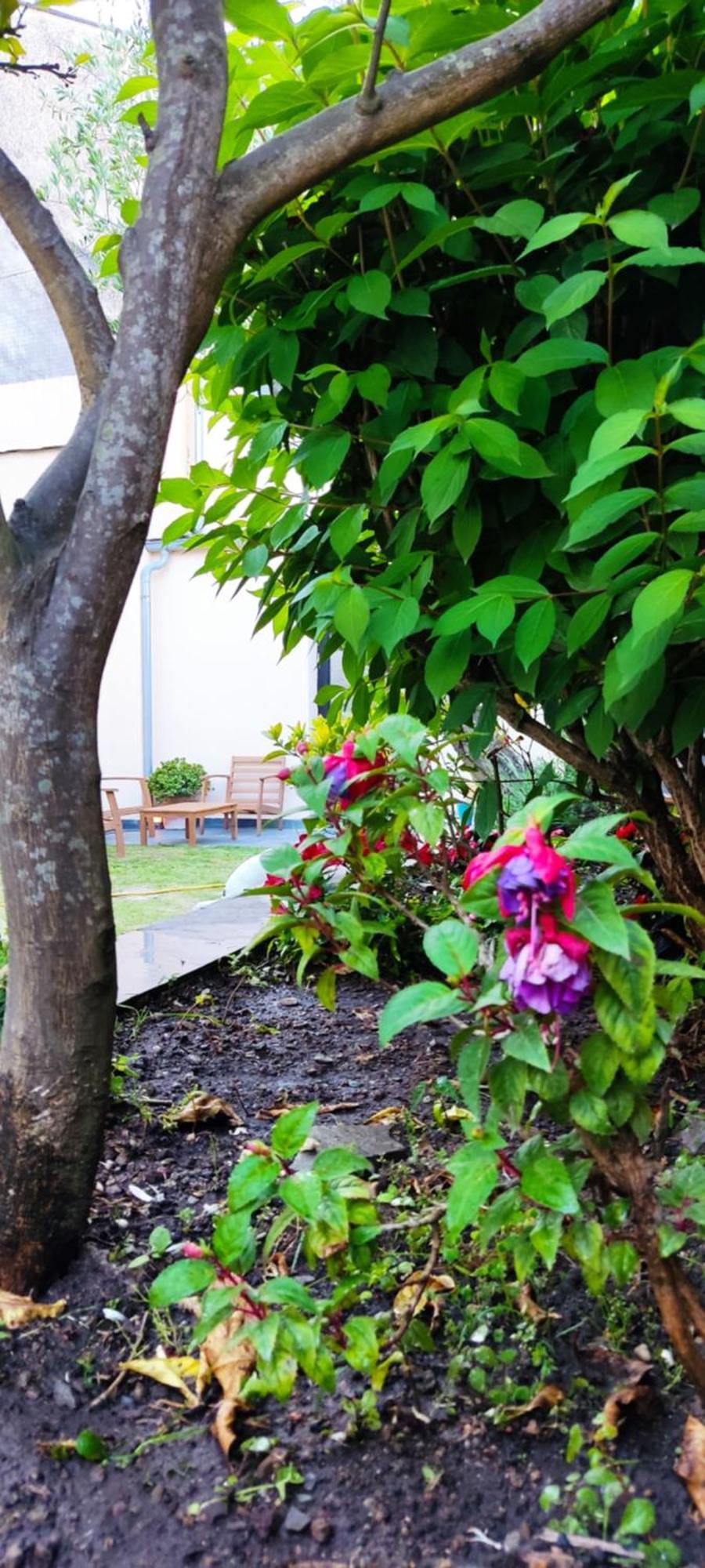 Hostel Namor Ribadeo Luaran gambar