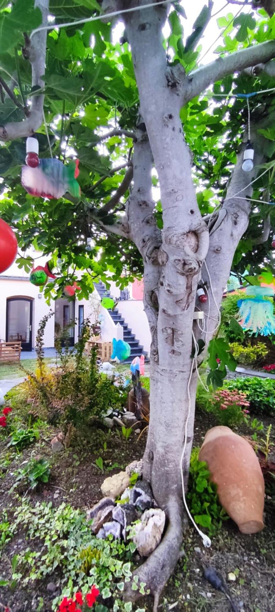 Hostel Namor Ribadeo Luaran gambar